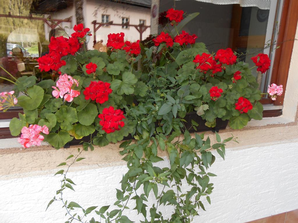 Gasthaus Traube Bichlbach Exterior foto